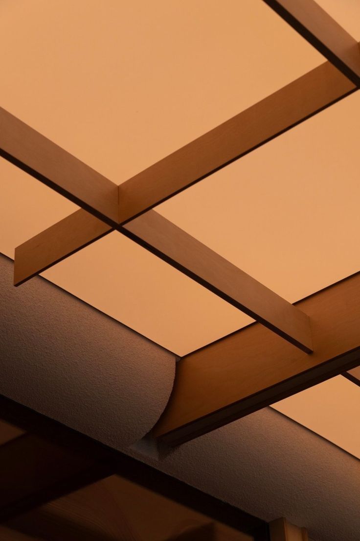 仓41|JUMGO浆果创意|2023|中国河北